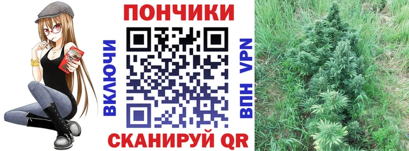 Виды наркотиков купить Сосногорск Alpha-PVP  МАРИХУАНА  Меф мяу мяу  ГАШ  Кокаин 