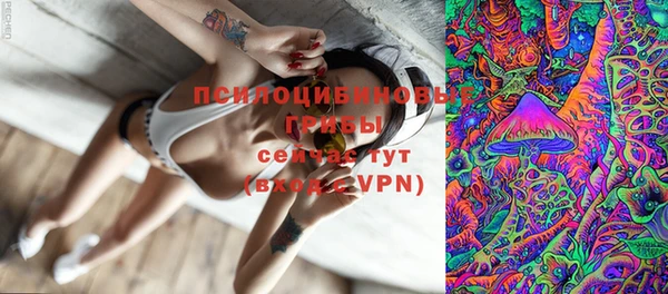 мескалин Бородино