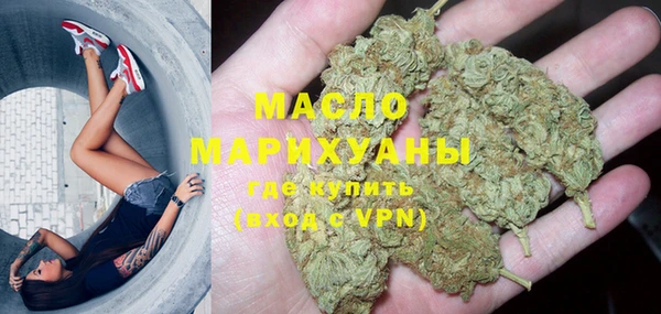 прущий лед Богданович